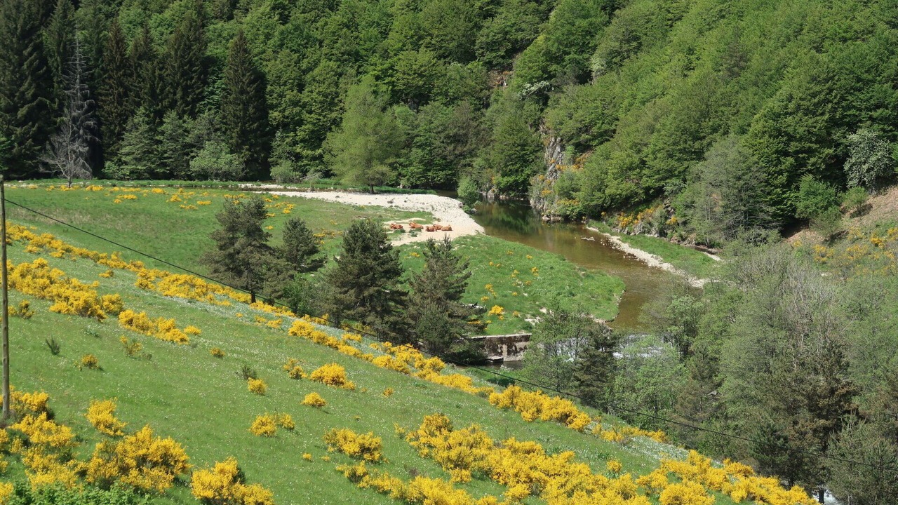 Photo of Others in Usclades-et-Rieutord