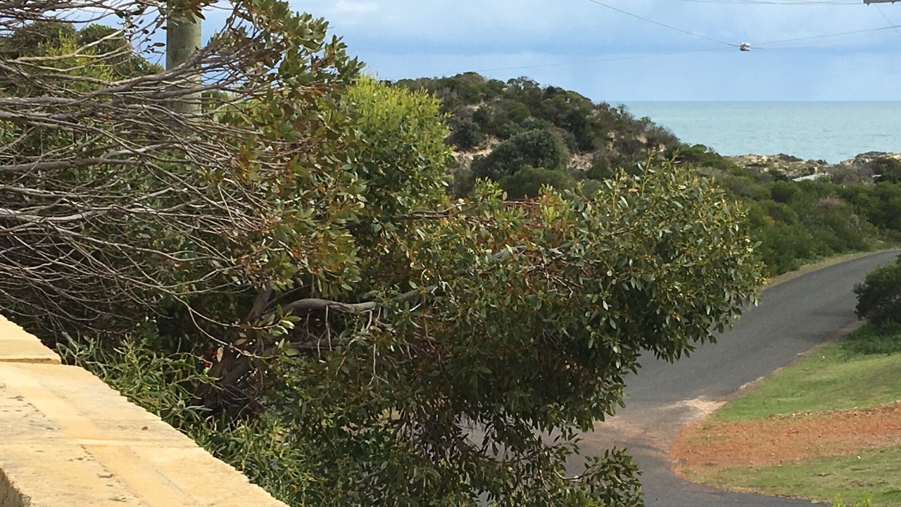 Photo of Outdoor in Preston Beach