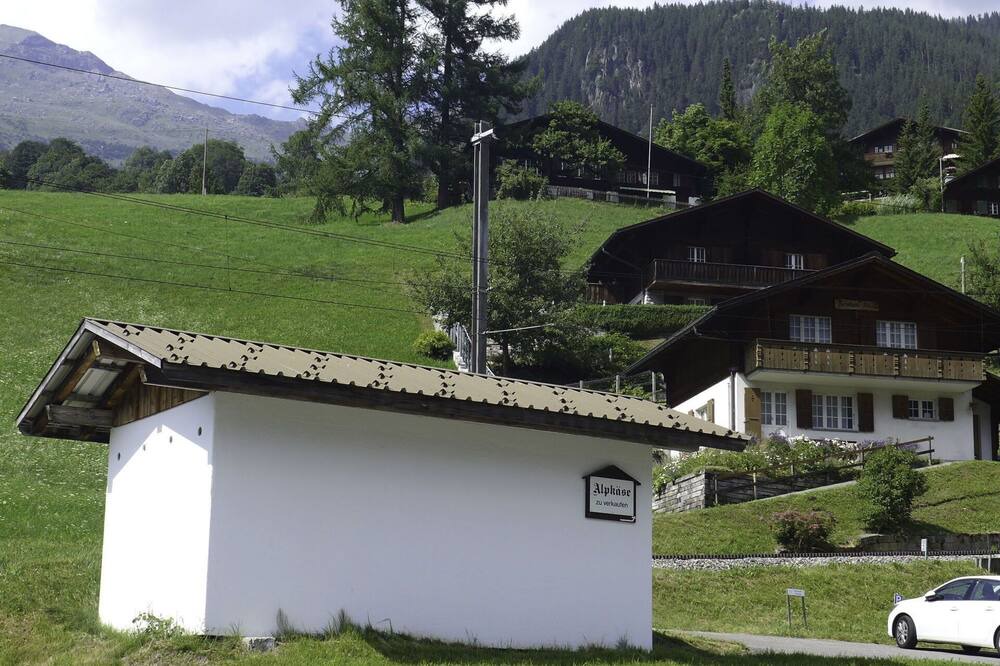 Photo of Others in Grindelwald