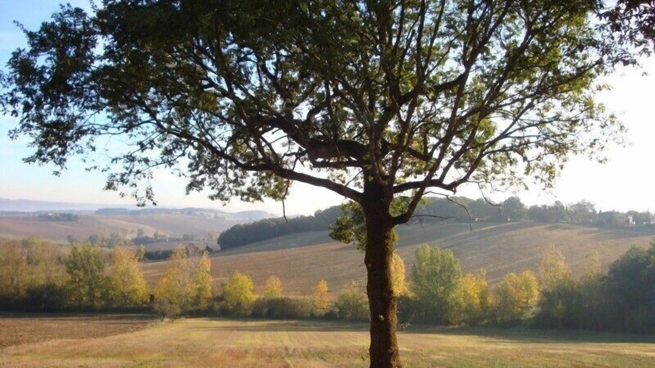 Photo of Outdoor in Laborie