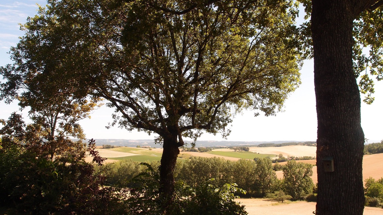 Photo of Outdoor in Laborie