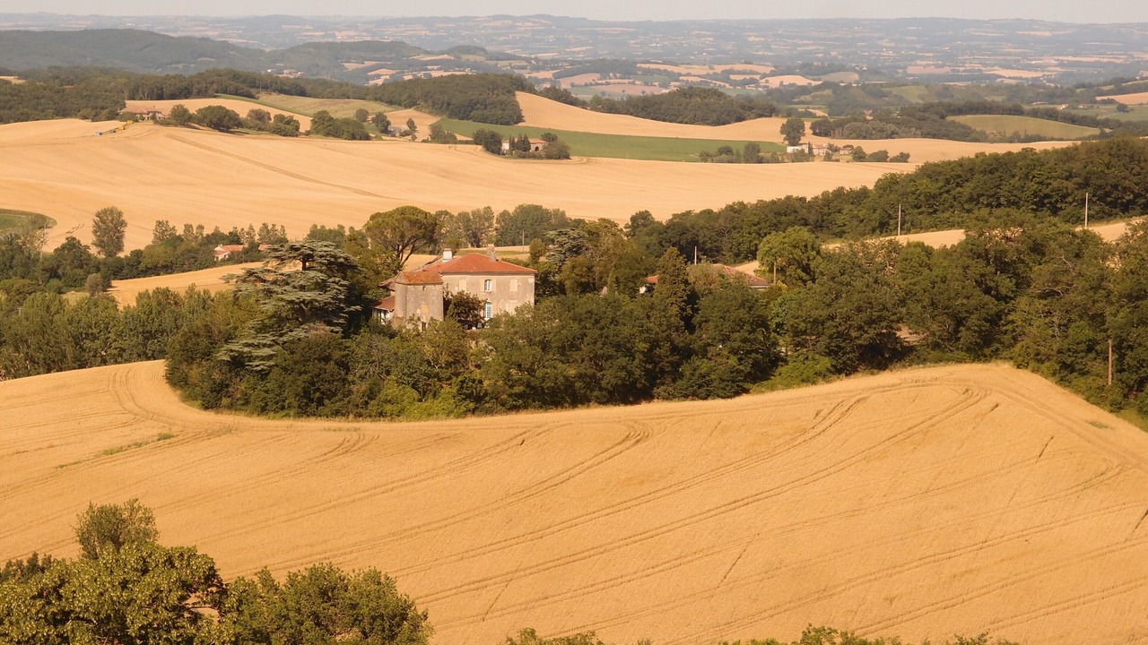 Photo of Outdoor in Laborie