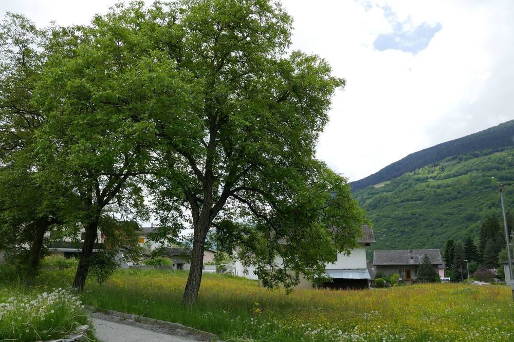 Photo of Others in Olivone