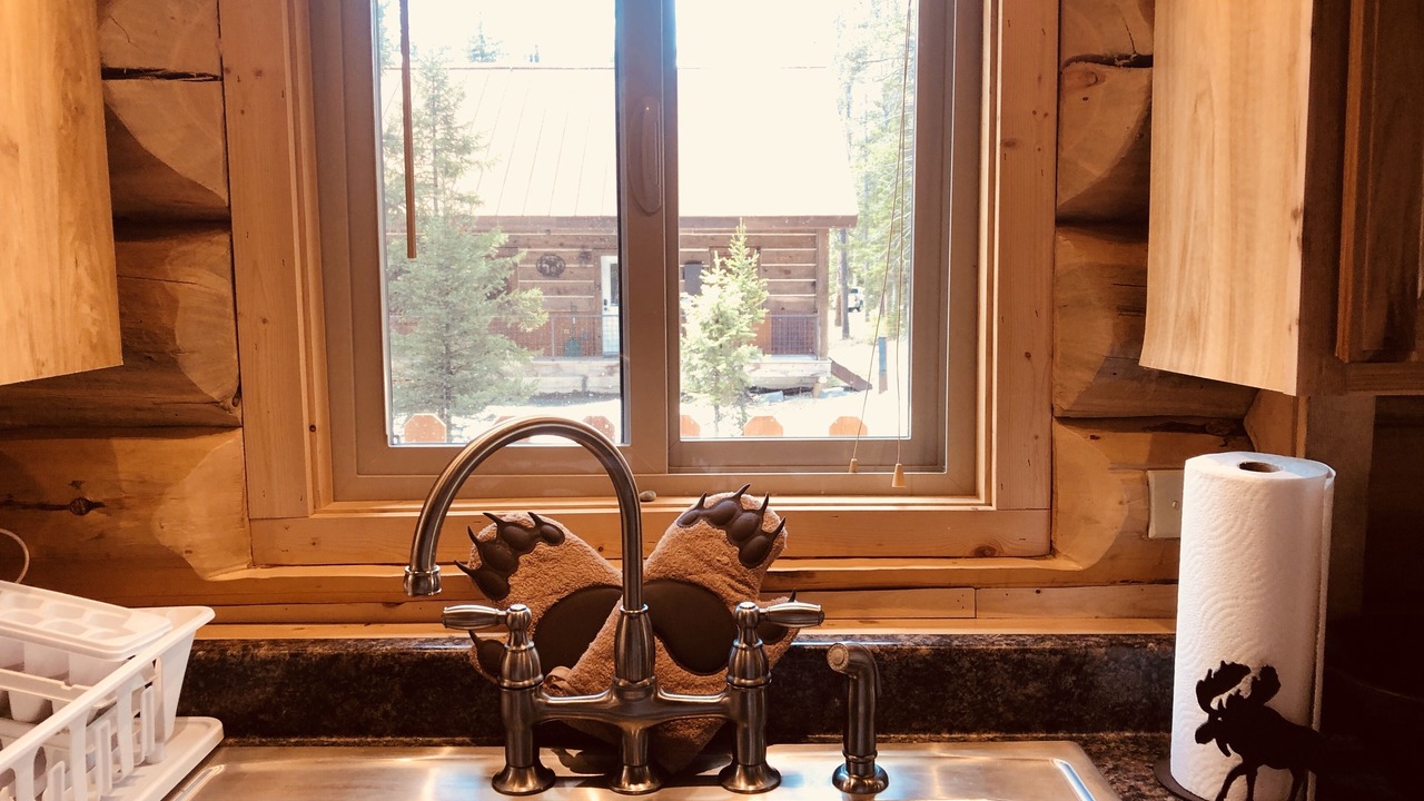 Photo of Kitchen in Silver Gate