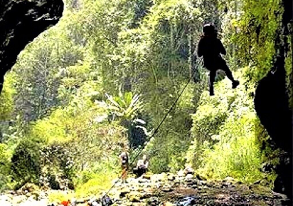 Photo of Others in Jobos