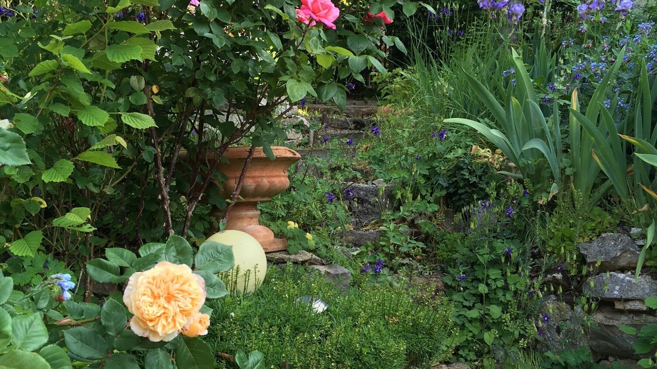 Photo of Outdoor in Ferrette