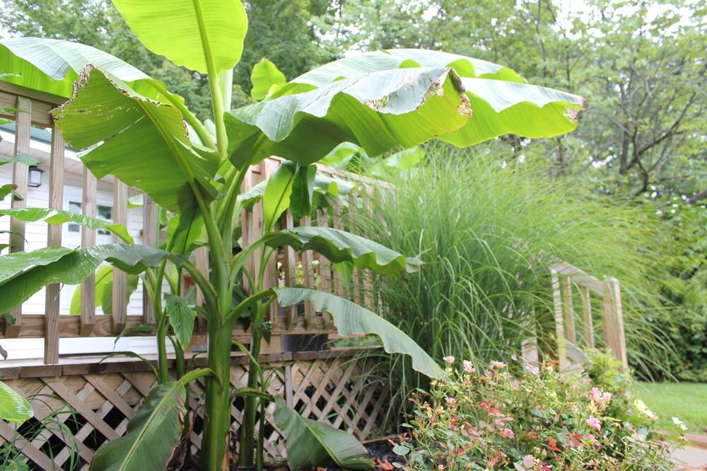 Photo of Outdoor in Goreville