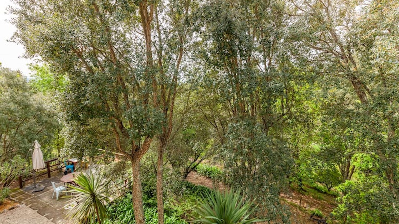 Photo of Outdoor in Tondela