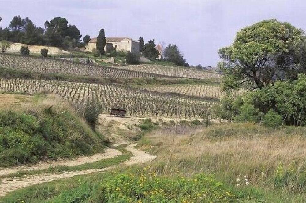 Photo of Others in La Redorte