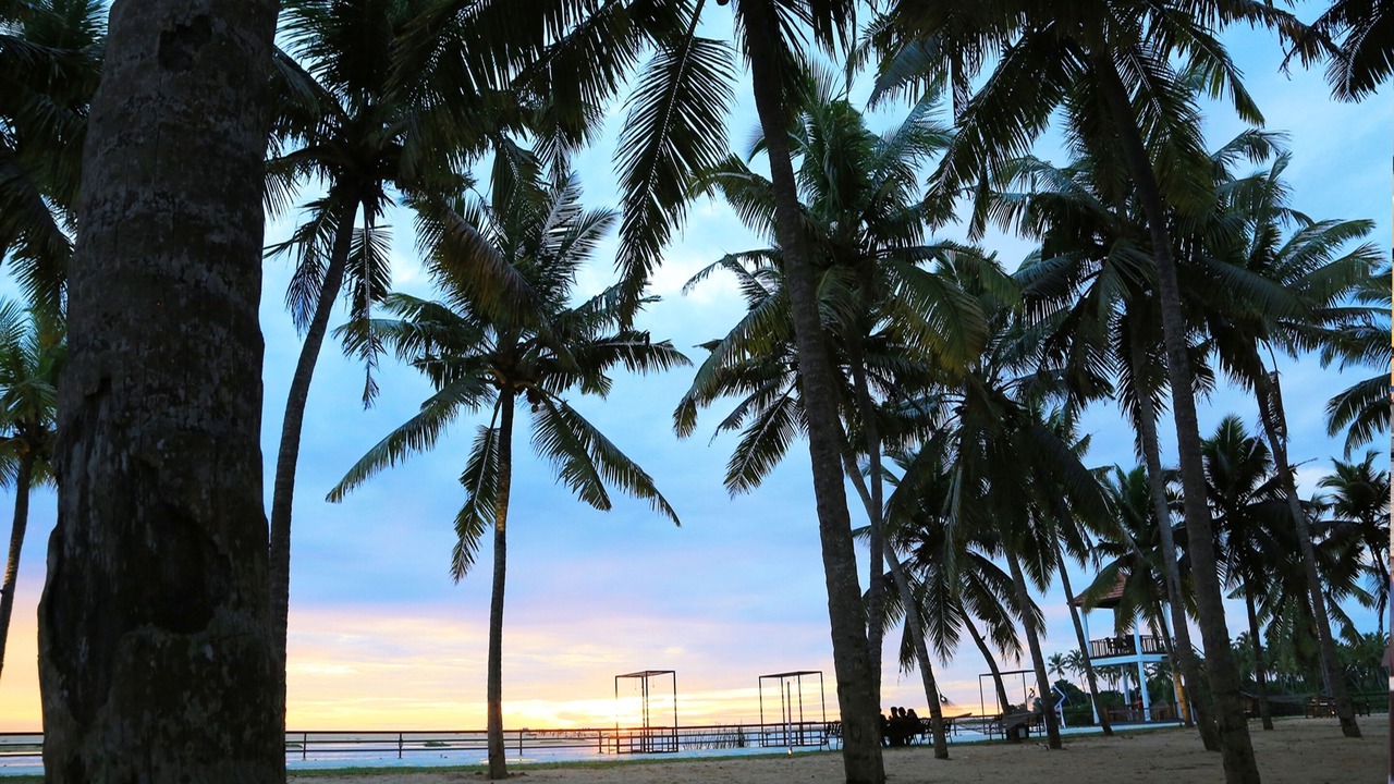 Photo of Others in Poovar