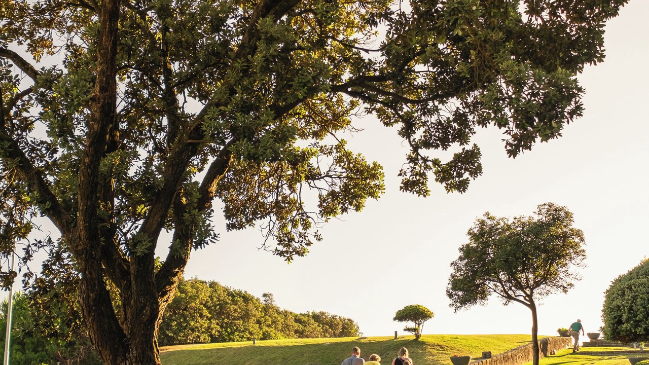 Photo of Outdoor in Ofir