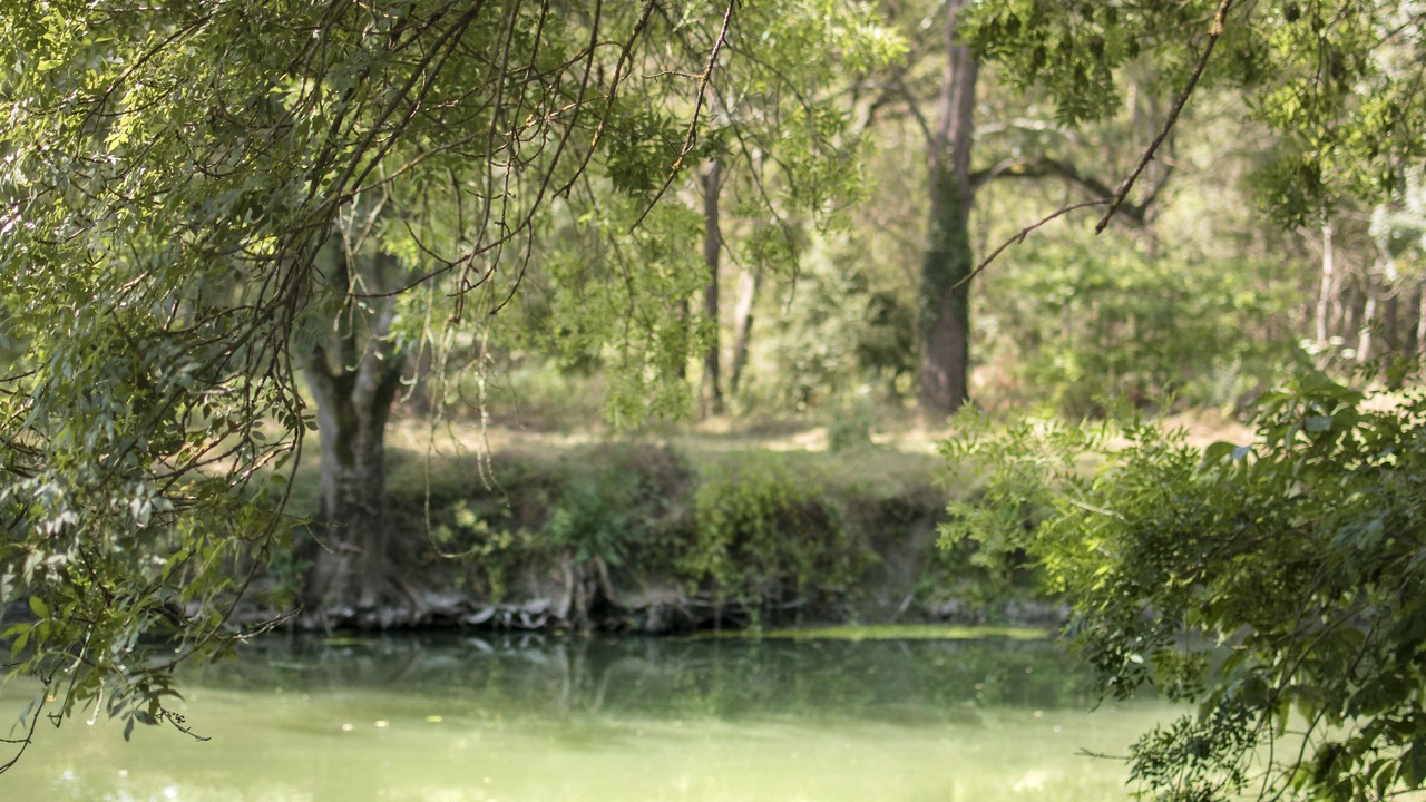 Photo of Outdoor in Veigne