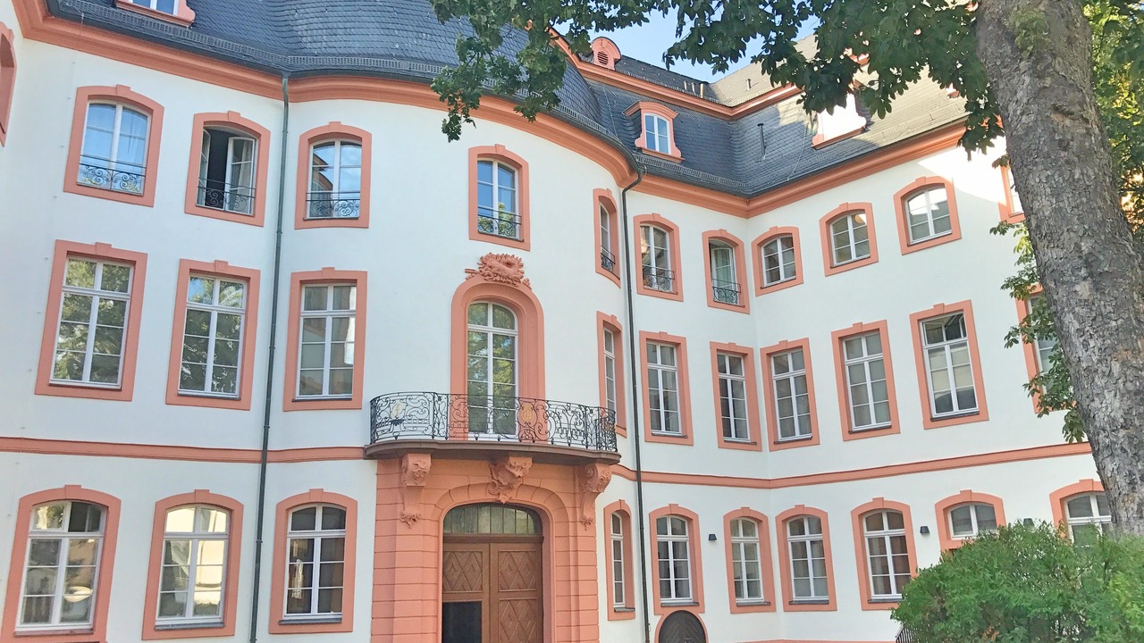 Photo of Outdoor in Mainz City Center