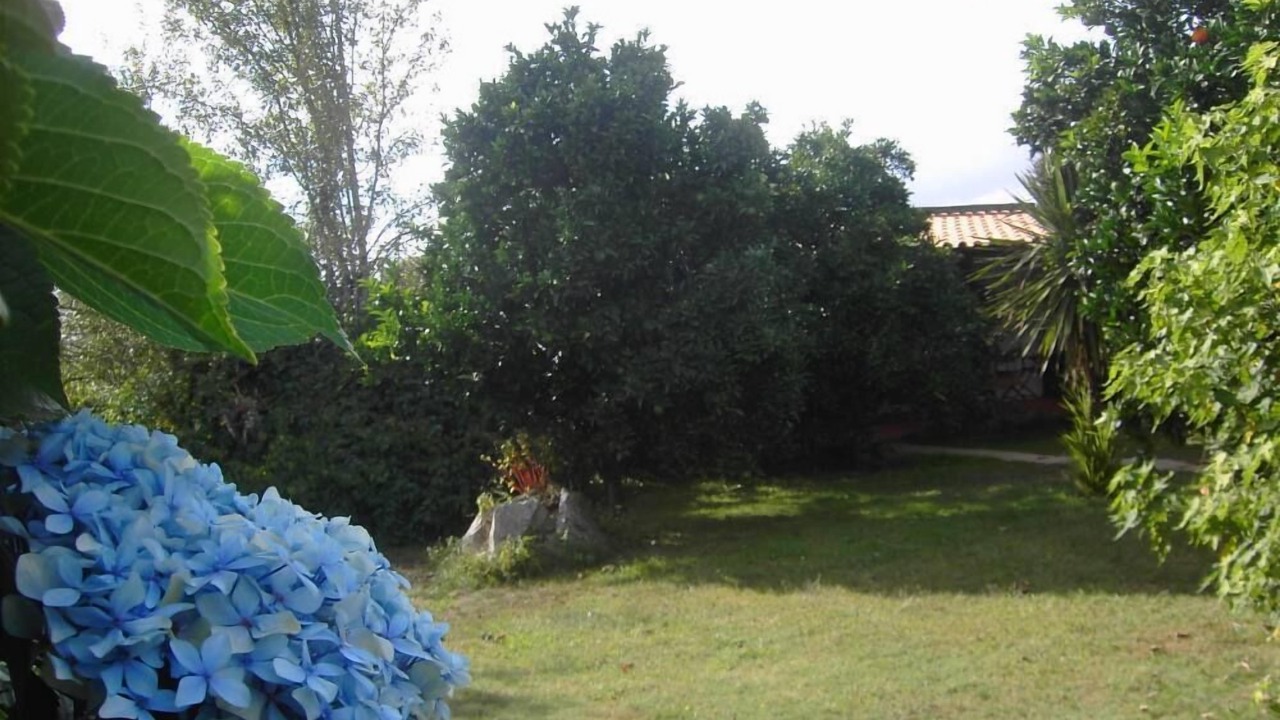 Photo of Outdoor in Ponte de Lima