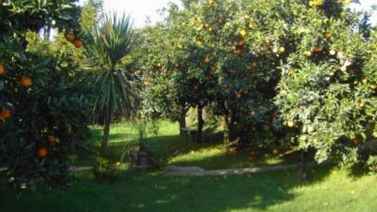 Photo of Outdoor in Ponte de Lima