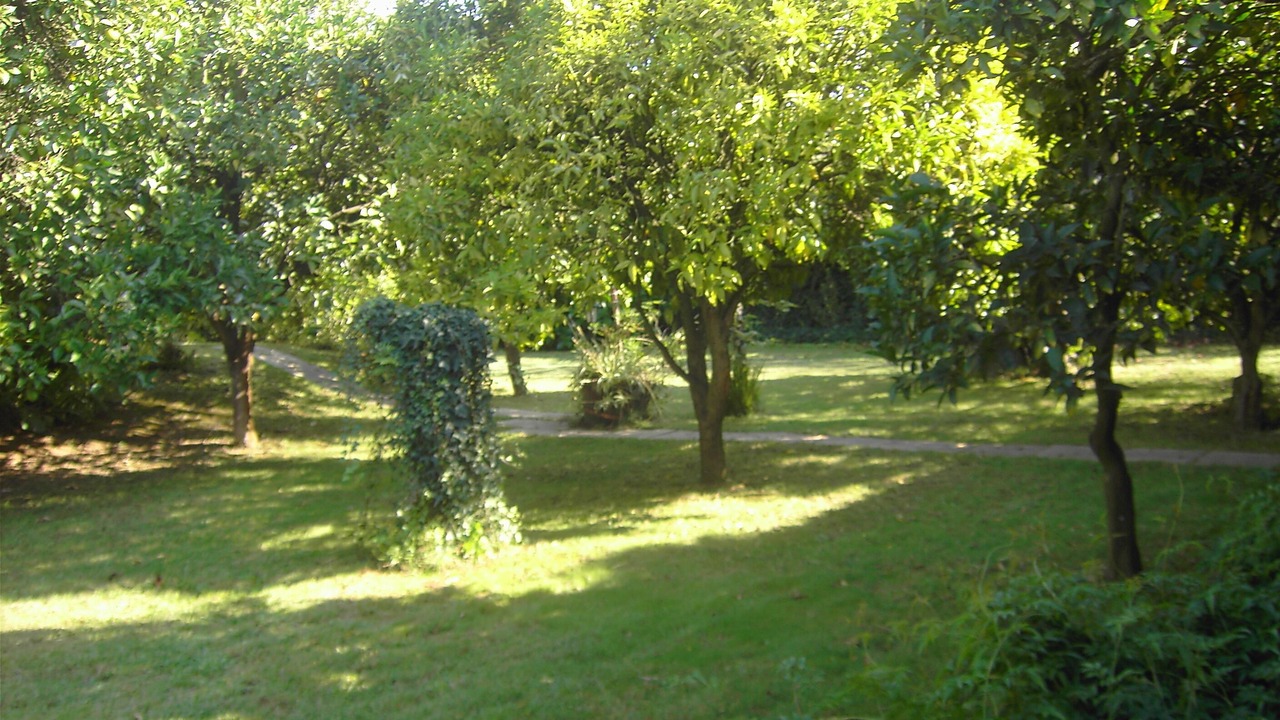 Photo of Outdoor in Ponte de Lima