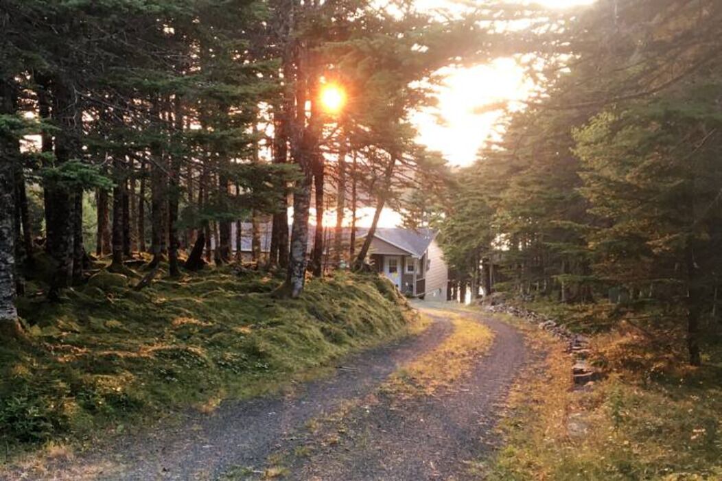 Photo of Outdoor in Brigus Junction