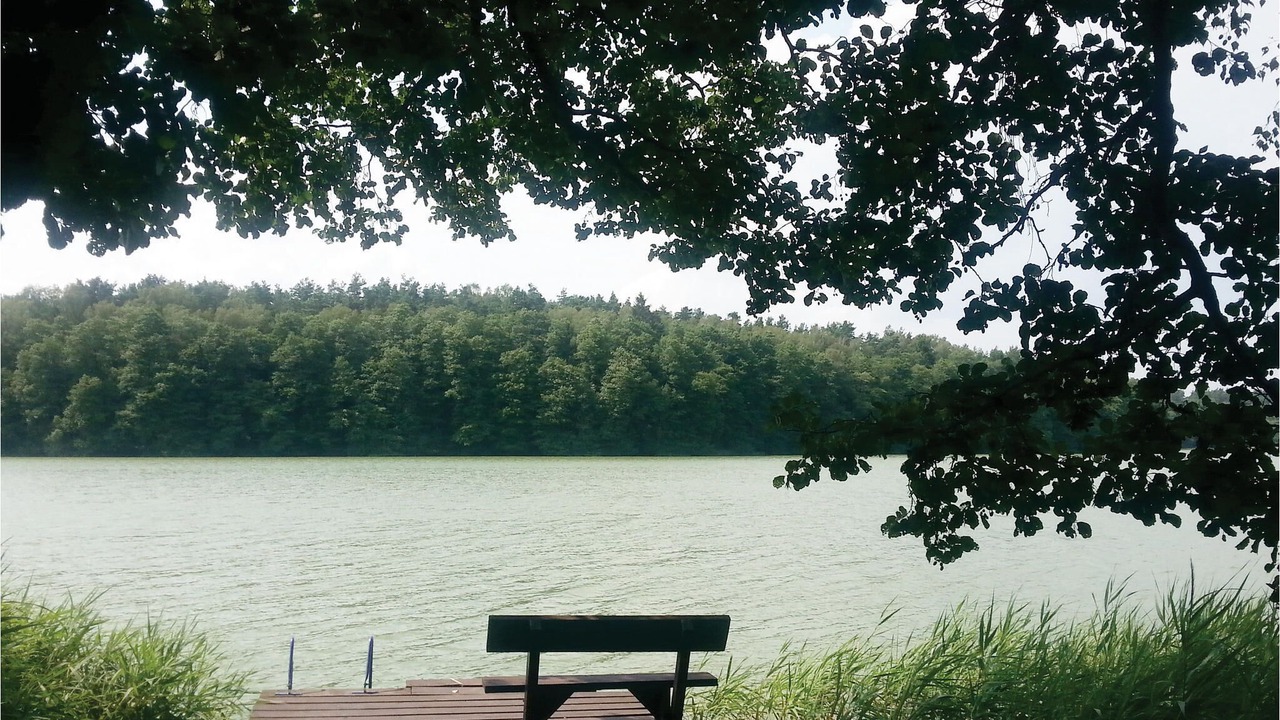Photo of Outdoor in Olsztynek