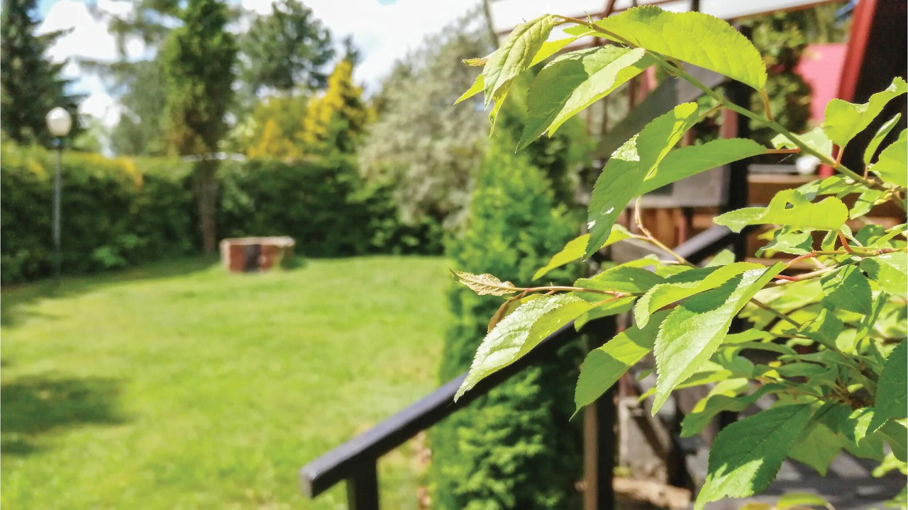 Photo of Outdoor in Olsztynek