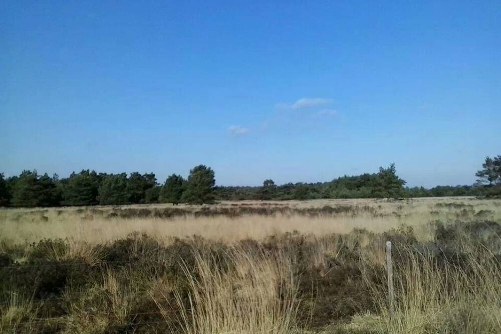 Photo of Others in Vledder