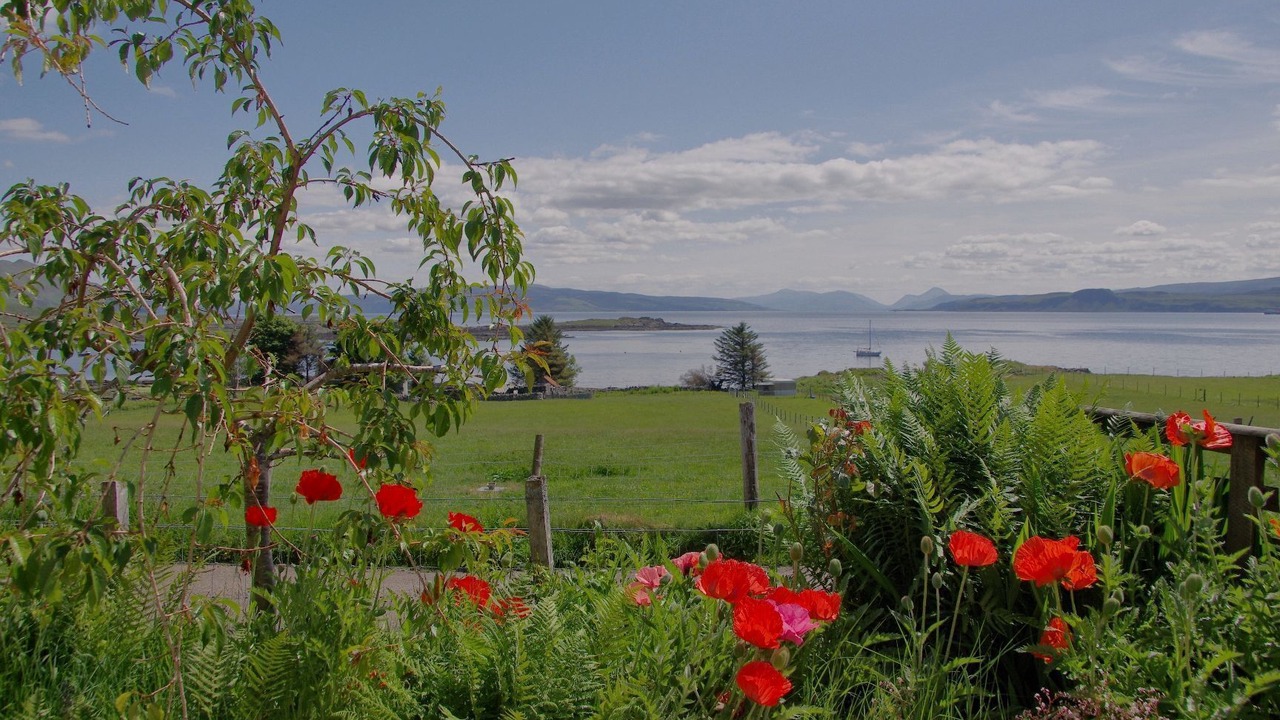 Photo of Others in Ardnamurchan Peninsula