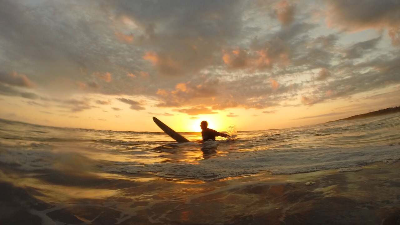Photo of Others in Playa Matapalo