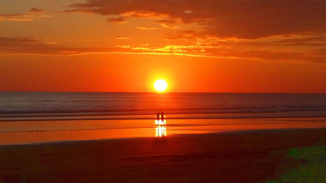Photo of Others in Playa Matapalo
