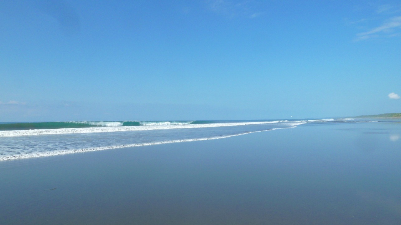 Photo of Others in Playa Matapalo