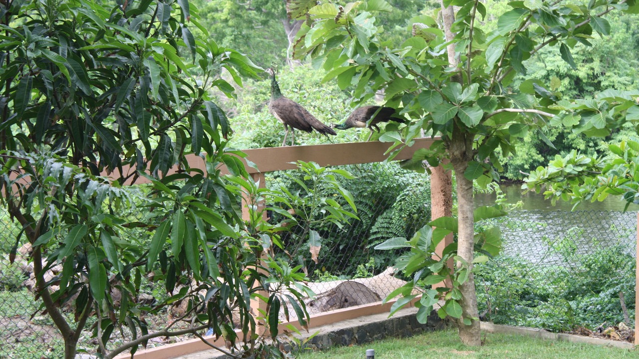 Photo of Outdoor in Morakatiyara