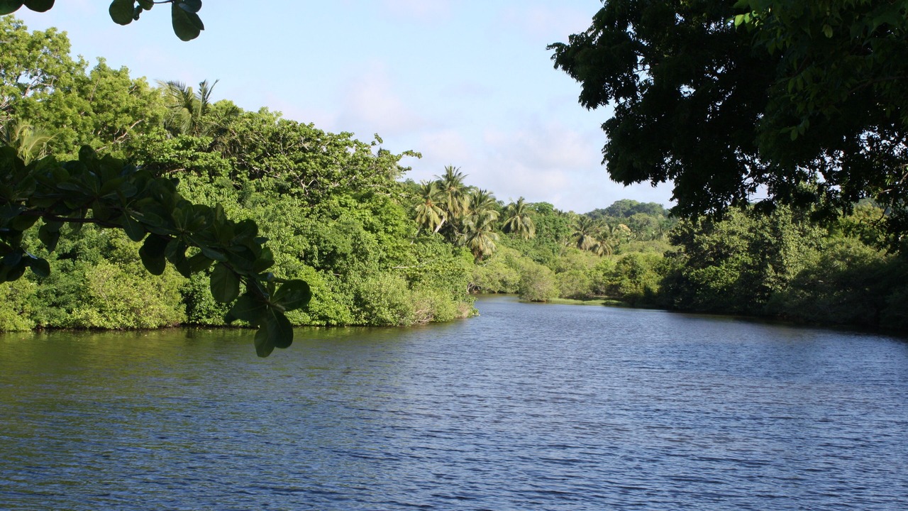 Photo of Others in Morakatiyara