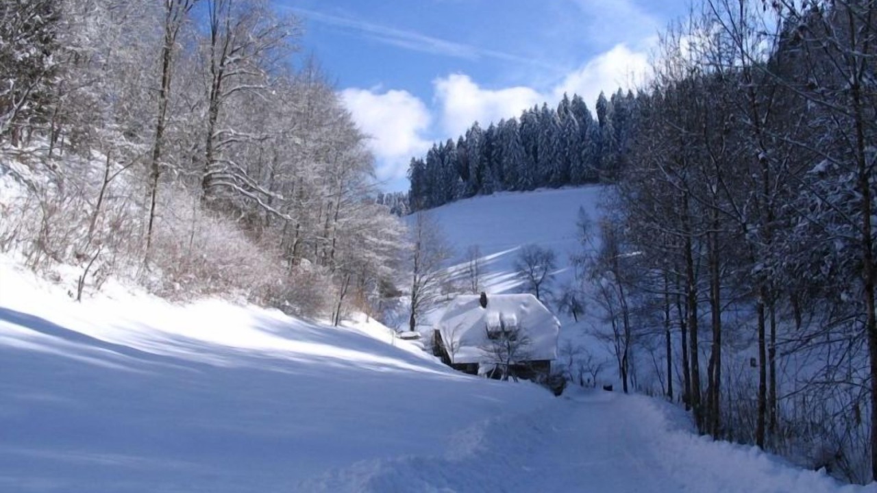 Photo of Others in Oberwolfach