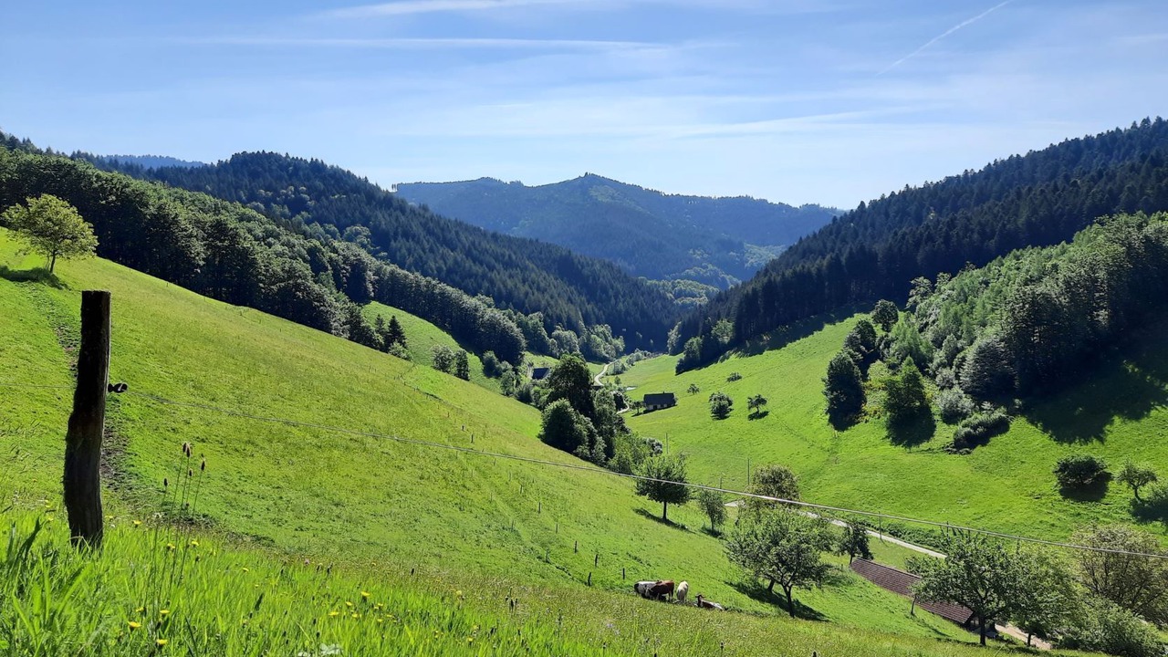 Photo of Outdoor in Oberwolfach