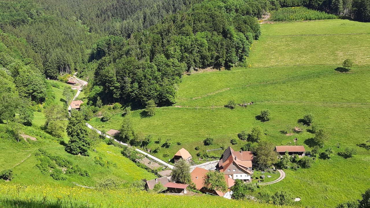 Photo of Others in Oberwolfach