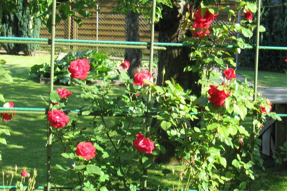 Photo of Outdoor in Badacsonyors