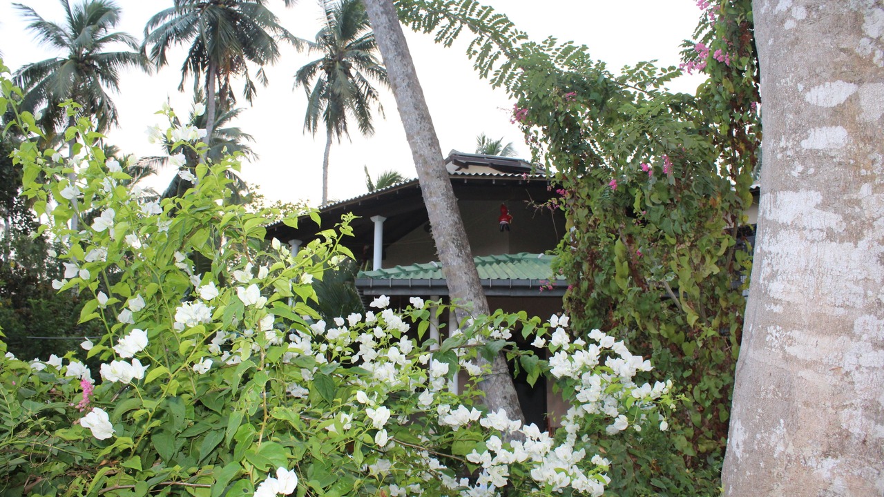 Photo of Outdoor in Rekawa