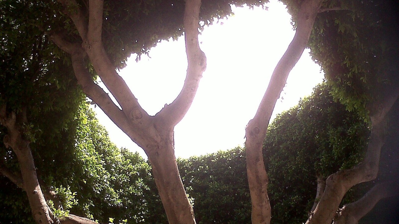 Photo of Outdoor in Almoradi