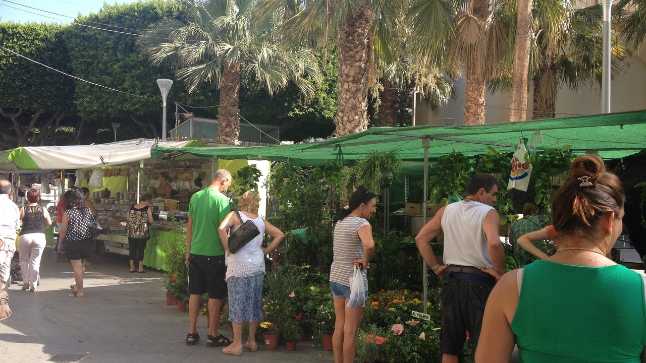 Photo of Outdoor in Almoradi
