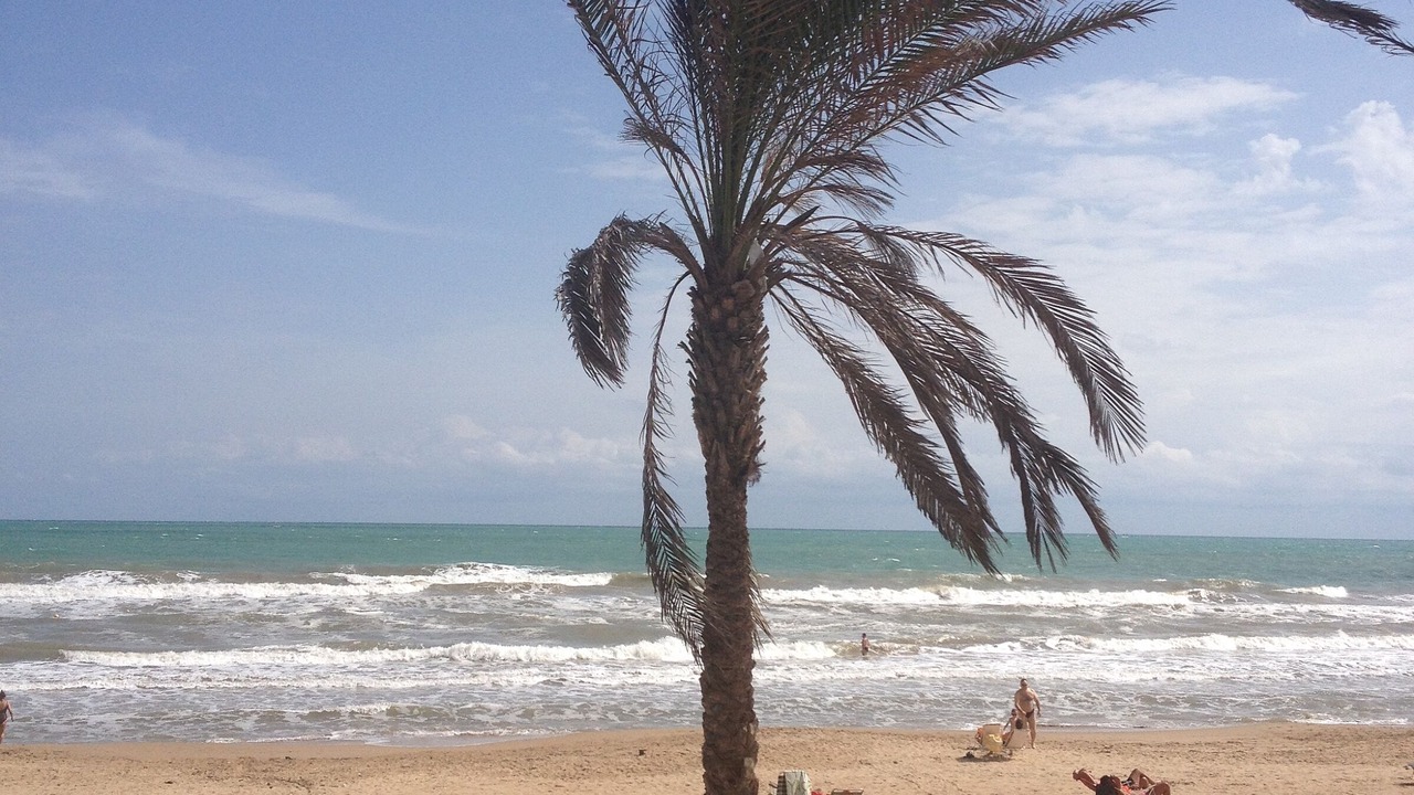 Photo of Others in Almoradi