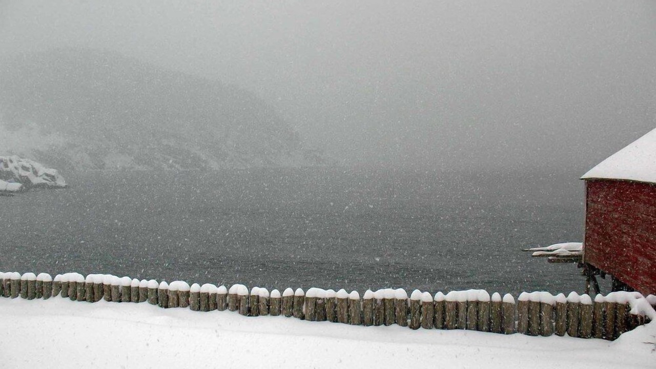Photo of Outdoor in Dunfield
