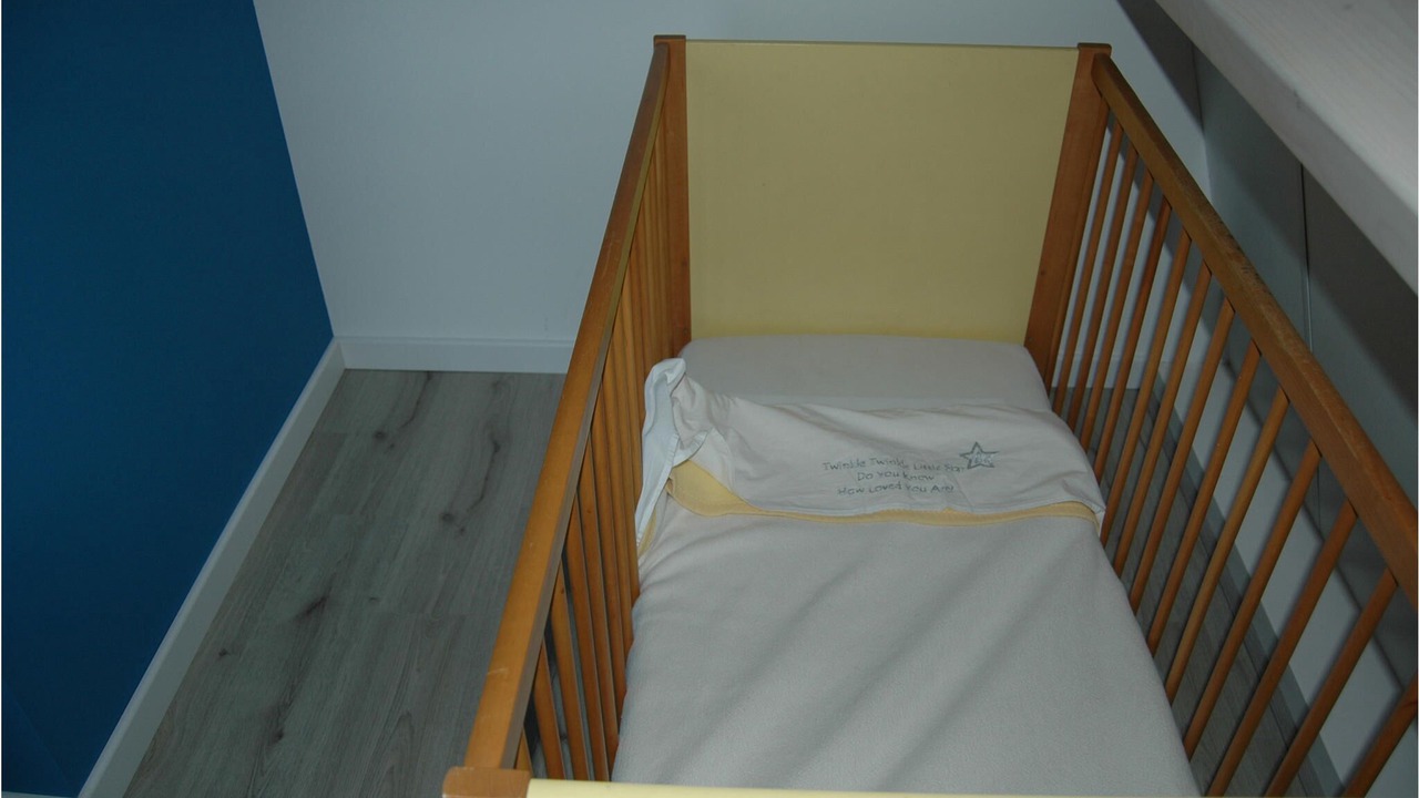Photo of Others in Schellinkhout