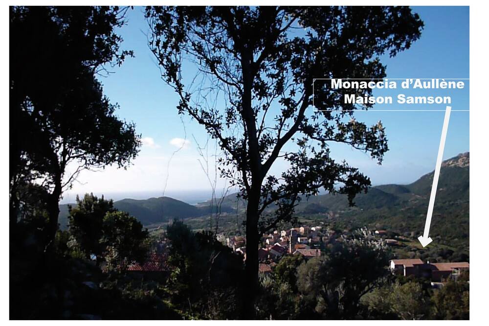 Photo of Others in Monacia-d'Aullene