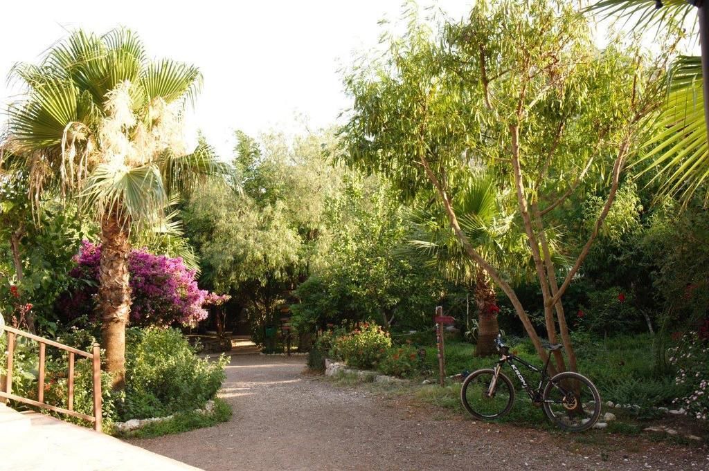 Photo of Outdoor in Adrasan