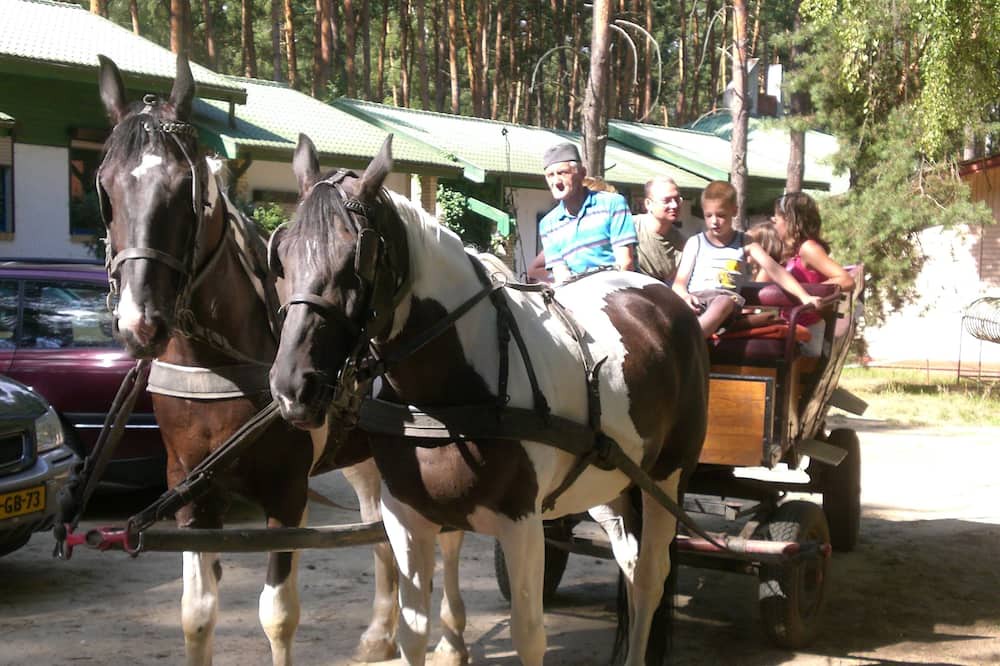 Photo of Others in Sierakow