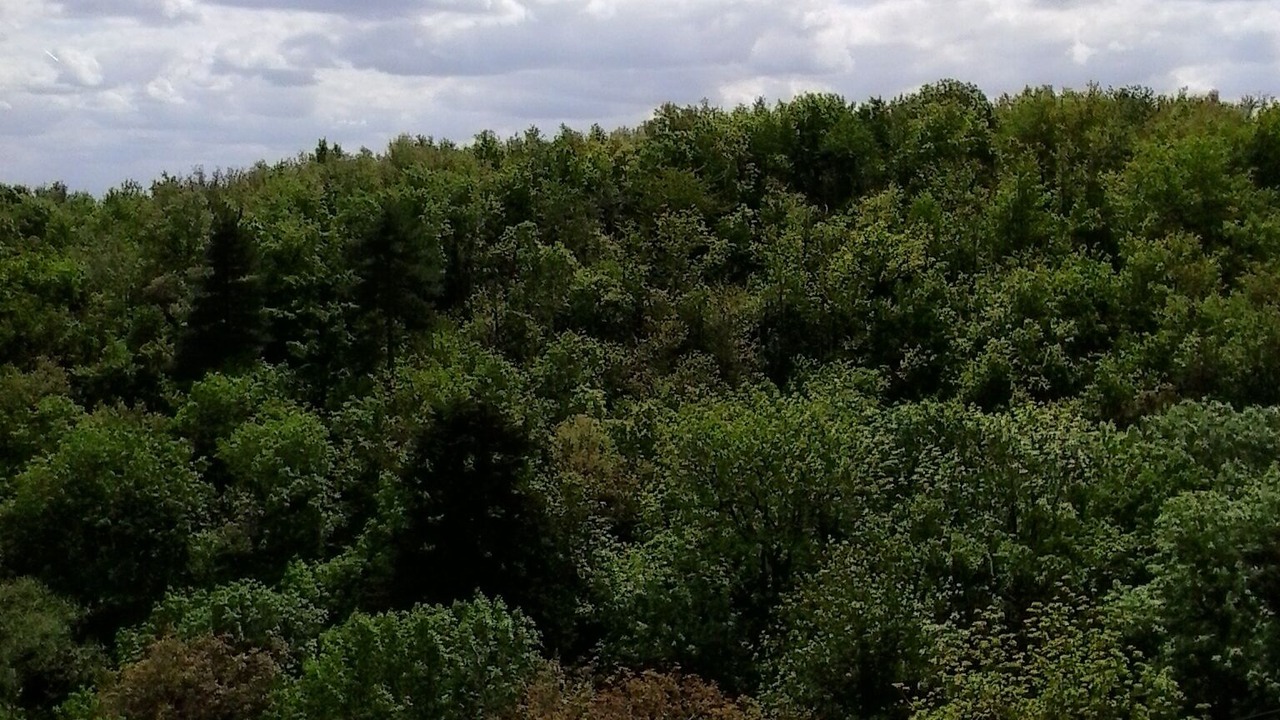 Photo of Others in Labecede-Lauragais