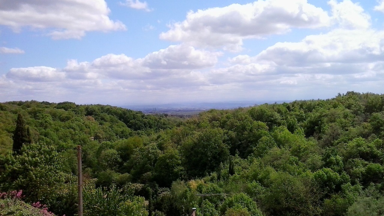 Photo of Others in Labecede-Lauragais