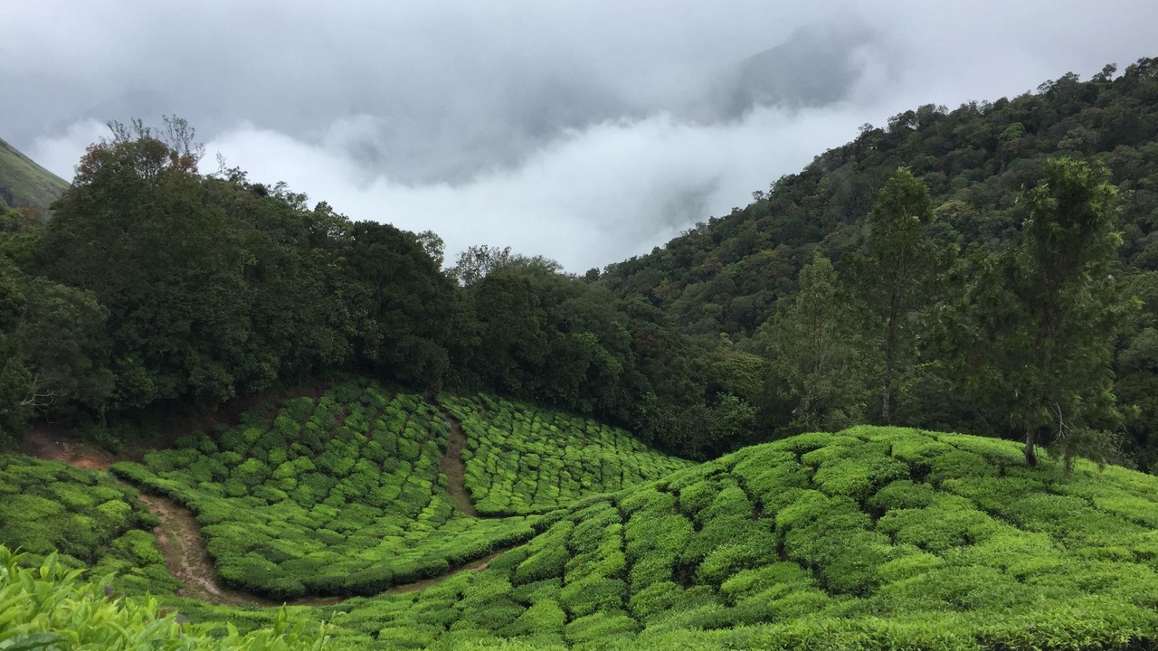 Photo of Outdoor in Devikolam