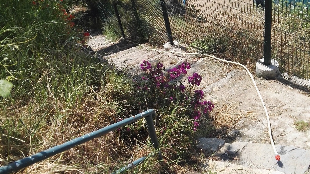 Photo of Outdoor in Eski Lara
