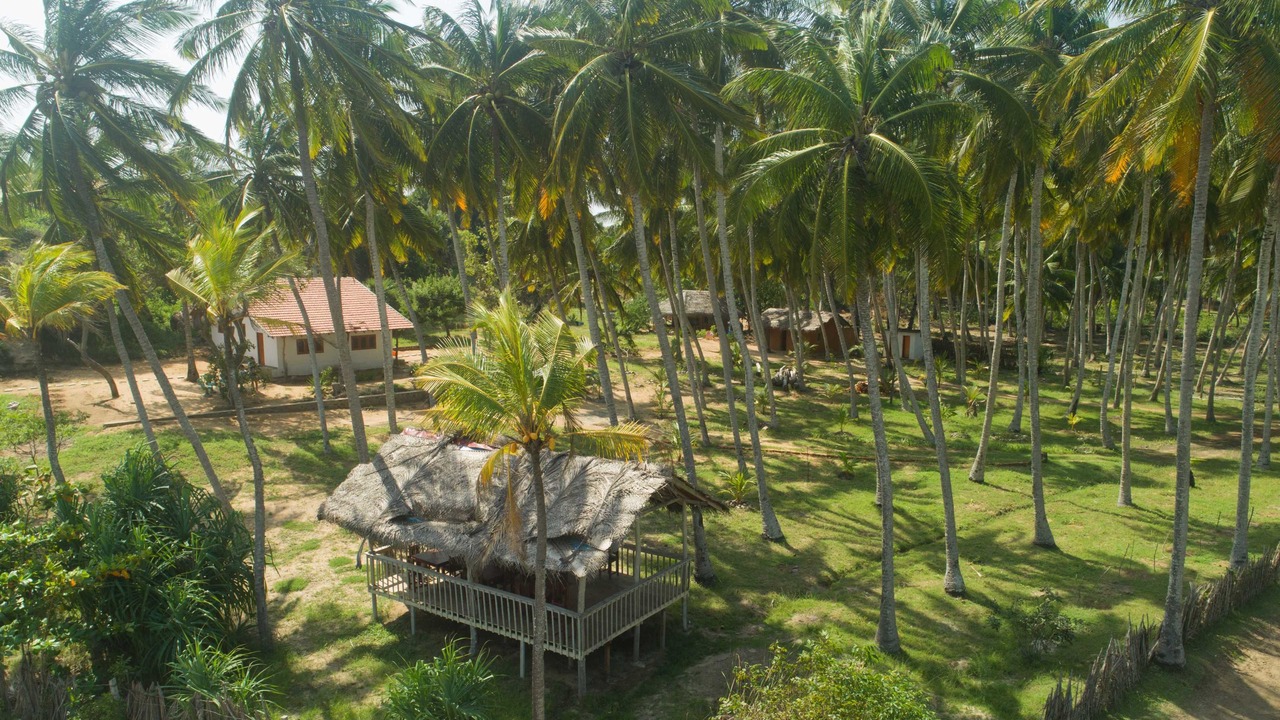 Photo of Outdoor in Kirinda