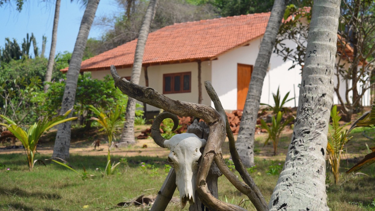 Photo of Outdoor in Kirinda