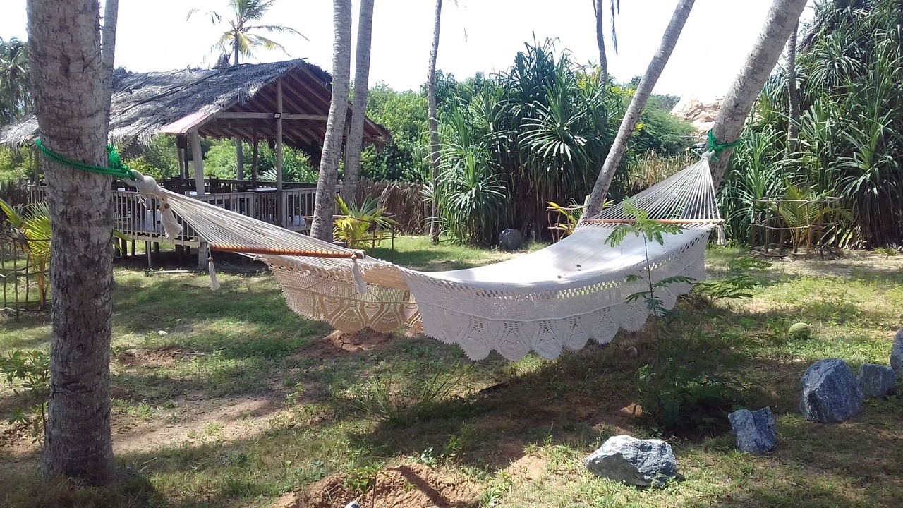 Photo of Outdoor in Kirinda